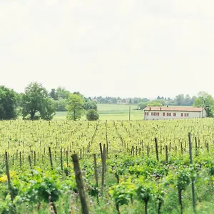 La Cascinetta Bed & Breakfast Passirano